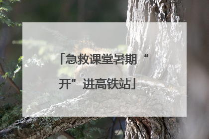 急救课堂暑期“开”进高铁站