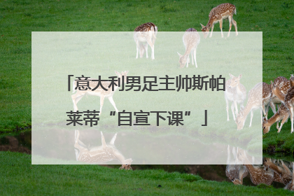 意大利男足主帅斯帕莱蒂“自宣下课”