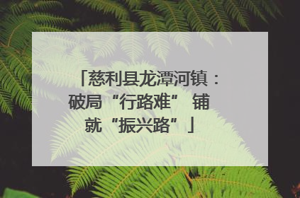 慈利县龙潭河镇：破局“行路难” 铺就“振兴路”