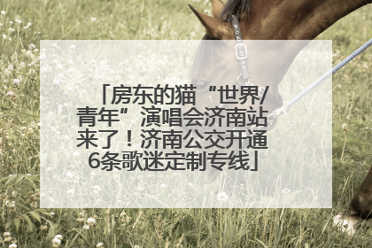 房东的猫“世界/青年”演唱会济南站来了！济南公交开通6条歌迷定制专线