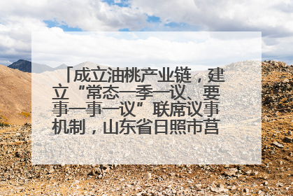 成立油桃产业链，建立“常态一季一议、要事一事一议”联席议事机制，山东省日照市莒县果庄镇——13个党小组“全周期”育果