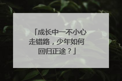 成长中一不小心走错路，少年如何回归正途？
