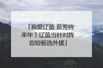 我爱辽篮 蓄芳待来年丨辽篮当针对阵容短板选外援