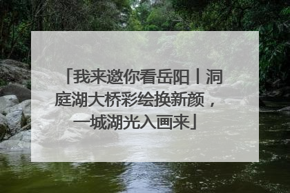 我来邀你看岳阳丨洞庭湖大桥彩绘换新颜，一城湖光入画来