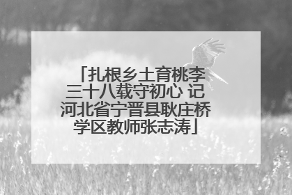 扎根乡土育桃李 三十八载守初心 记河北省宁晋县耿庄桥学区教师张志涛