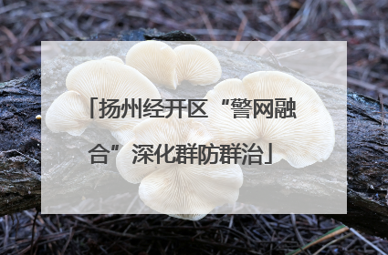 扬州经开区“警网融合”深化群防群治