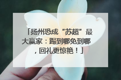 扬州恐成“苏超”最大赢家：踢到哪免到哪，回礼更惊艳！