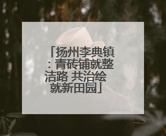 扬州李典镇：青砖铺就整洁路 共治绘就新田园