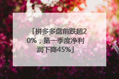 拼多多盘前跌超20%，第一季度净利润下降45%