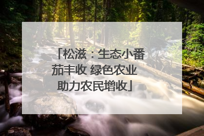 松滋：生态小番茄丰收 绿色农业助力农民增收
