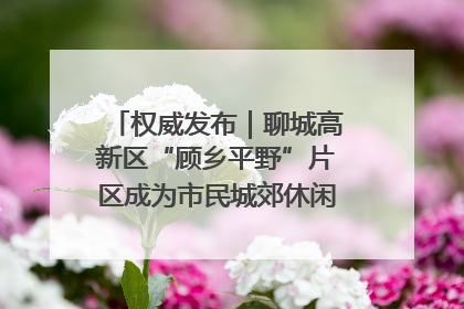 权威发布｜聊城高新区“顾乡平野”片区成为市民城郊休闲全新目的地