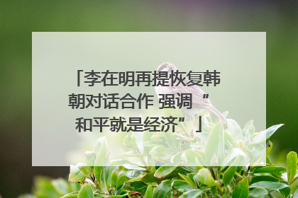 李在明再提恢复韩朝对话合作 强调“和平就是经济”
