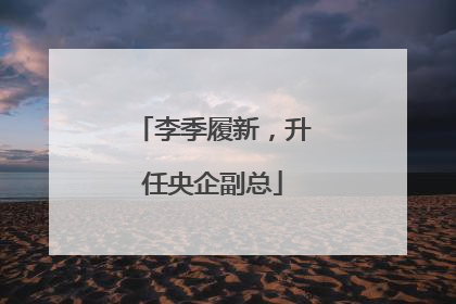 李季履新，升任央企副总