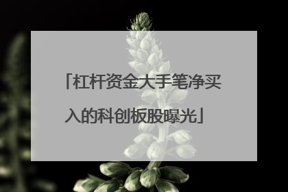 杠杆资金大手笔净买入的科创板股曝光