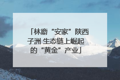 林麝“安家”陕西子洲 生态链上崛起的“黄金”产业