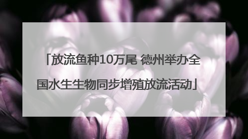 放流鱼种10万尾 德州举办全国水生生物同步增殖放流活动