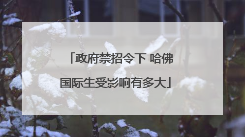 政府禁招令下 哈佛国际生受影响有多大