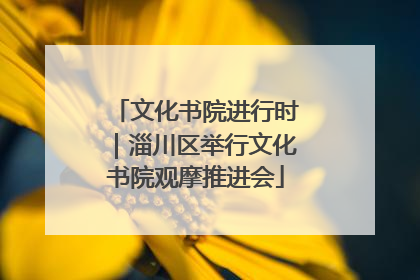 文化书院进行时｜淄川区举行文化书院观摩推进会
