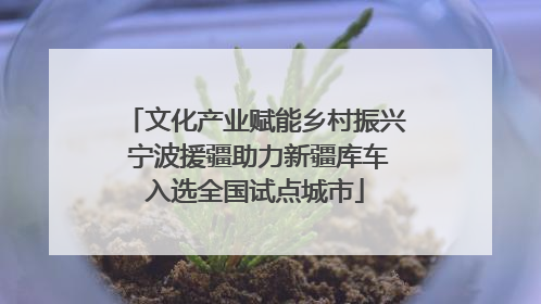 文化产业赋能乡村振兴 宁波援疆助力新疆库车入选全国试点城市