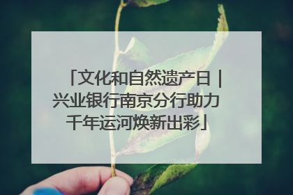 文化和自然遗产日｜兴业银行南京分行助力千年运河焕新出彩