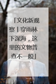 文化新观察丨穿雨林下深海，这里的文物普查不一般