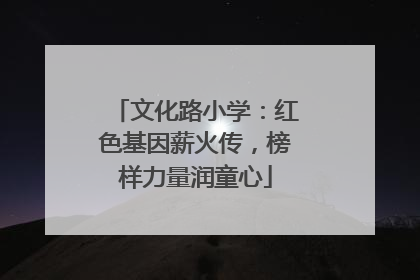 文化路小学：红色基因薪火传，榜样力量润童心