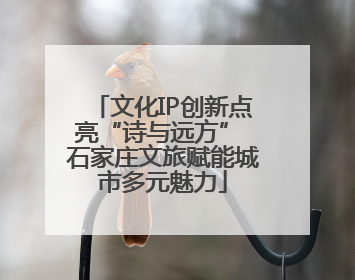 文化IP创新点亮“诗与远方” 石家庄文旅赋能城市多元魅力