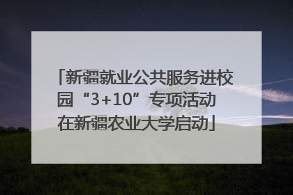 新疆就业公共服务进校园“3+10”专项活动在新疆农业大学启动