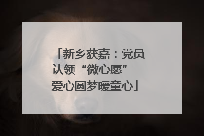 新乡获嘉：党员认领“微心愿” 爱心圆梦暖童心