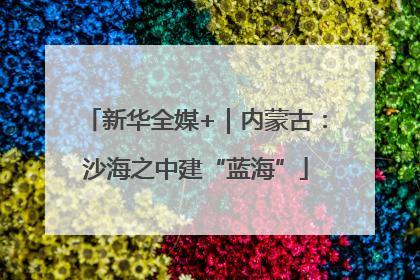 新华全媒+｜内蒙古：沙海之中建“蓝海”