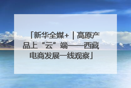 新华全媒+｜高原产品上“云”端——西藏电商发展一线观察