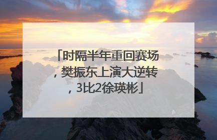 时隔半年重回赛场，樊振东上演大逆转，3比2徐瑛彬