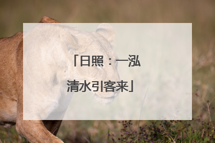 日照：一泓清水引客来