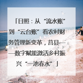 日照：从“流水账”到“云台账”看农村财务管理新变革，莒县——数字赋能激活乡村振兴“一池春水”