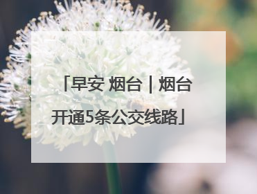 早安 烟台｜烟台开通5条公交线路