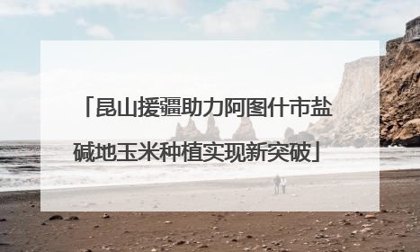 昆山援疆助力阿图什市盐碱地玉米种植实现新突破