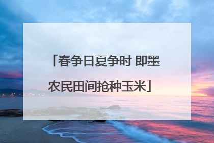春争日夏争时 即墨农民田间抢种玉米