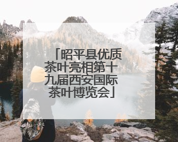 昭平县优质茶叶亮相第十九届西安国际茶叶博览会