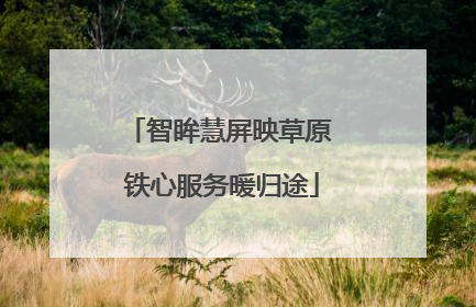 智眸慧屏映草原 铁心服务暖归途