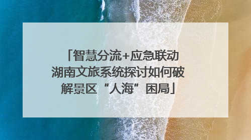 智慧分流+应急联动 湖南文旅系统探讨如何破解景区“人海”困局