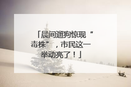 晨间遛狗惊现“毒株”，市民这一举动亮了！