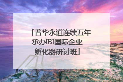 普华永道连续五年承办IBI国际企业孵化器研讨班