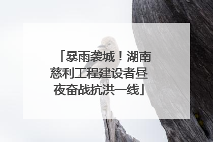 暴雨袭城！湖南慈利工程建设者昼夜奋战抗洪一线