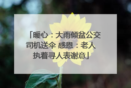 暖心：大雨倾盆公交司机送伞 感恩：老人执着寻人表谢意