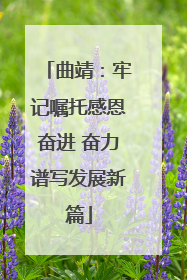 曲靖：牢记嘱托感恩奋进 奋力谱写发展新篇