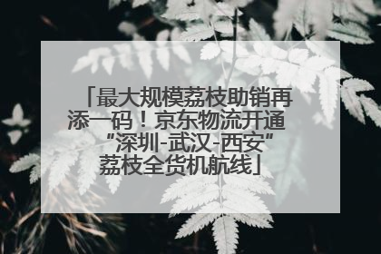 最大规模荔枝助销再添一码！京东物流开通“深圳-武汉-西安” 荔枝全货机航线