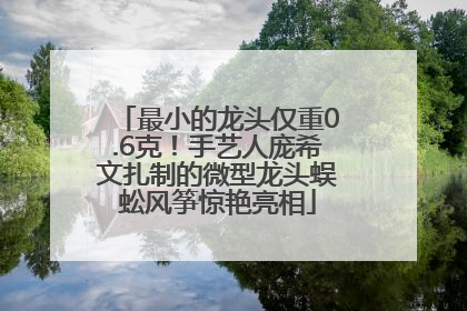 最小的龙头仅重0.6克！手艺人庞希文扎制的微型龙头蜈蚣风筝惊艳亮相