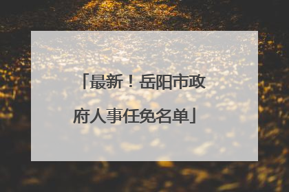 最新！岳阳市政府人事任免名单