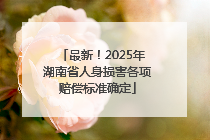 最新！2025年湖南省人身损害各项赔偿标准确定