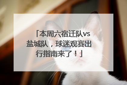 本周六宿迁队vs盐城队，球迷观赛出行指南来了！